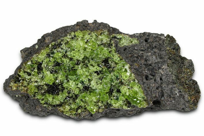 Peridot Crystals in Basalt - Arizona #368555